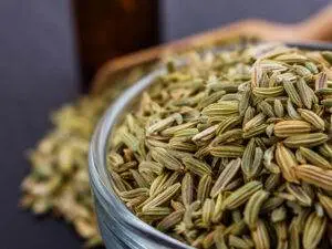 can birds eat fennel seeds