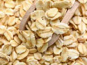 can birds eat oats?