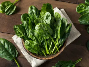 can birds eat spinach
